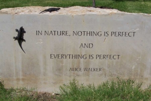 "READING GARDEN" (detail)
Texas limestone Quarry Block, sandblasted; quotations by literary figures, native reptiles in cast bronze
permanent installation at Hampton/Illinois Public Library, Dallas, TX "READING GARDEN" (detail) Texas limestone Quarry Block, sandblasted; quotations by literary figures, native reptiles in cast bronze permanent installation at Hampton/Illinois Public Library, Dallas, TX